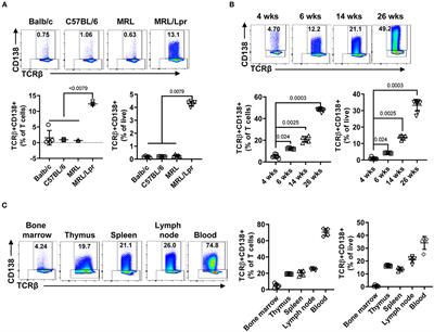 Disease Stage-Specific Pathogenicity of CD138 (Syndecan 1)-Expressing T Cells in Systemic Lupus Erythematosus